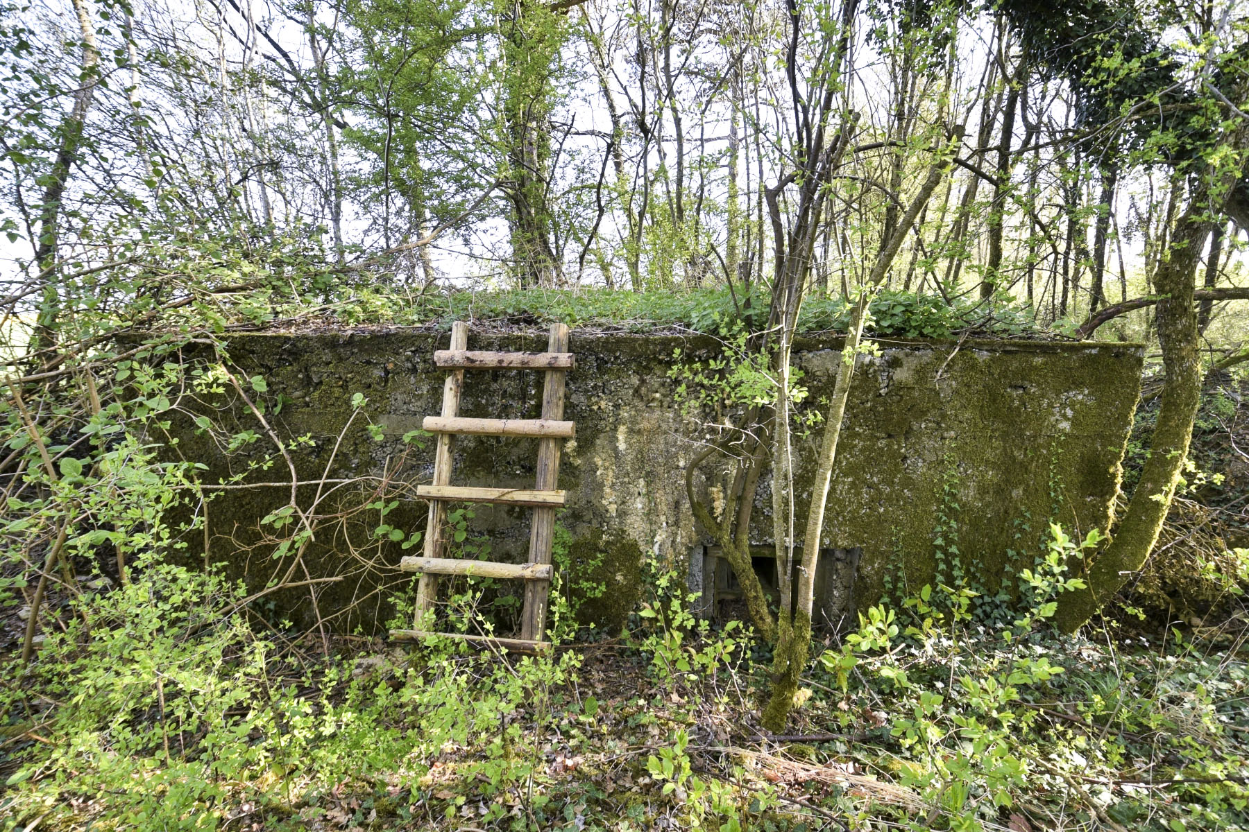 Ligne Maginot - AB359 - BAN SAINT JEAN NORD 2 - (Blockhaus pour arme infanterie) - Face latéral