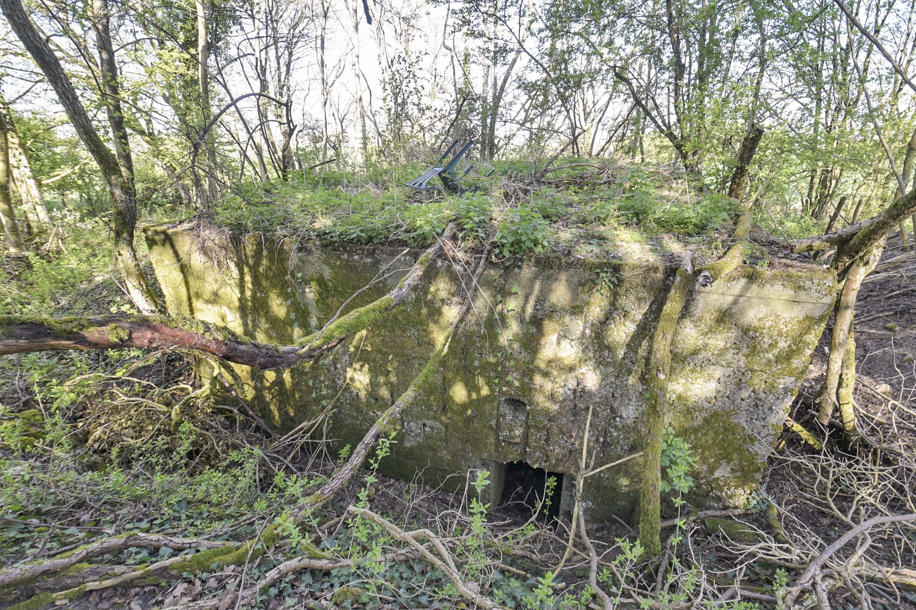 Ligne Maginot - AB359 - BAN SAINT JEAN NORD 2 - (Blockhaus pour arme infanterie) - Face arrière avec entrée