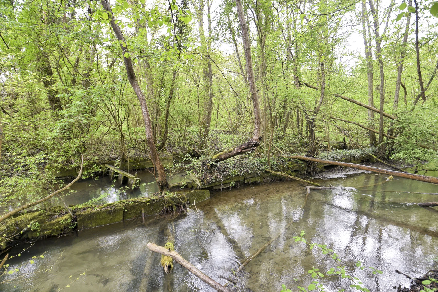 Ligne Maginot - SOMMERLEY - (Inondation défensive) - 