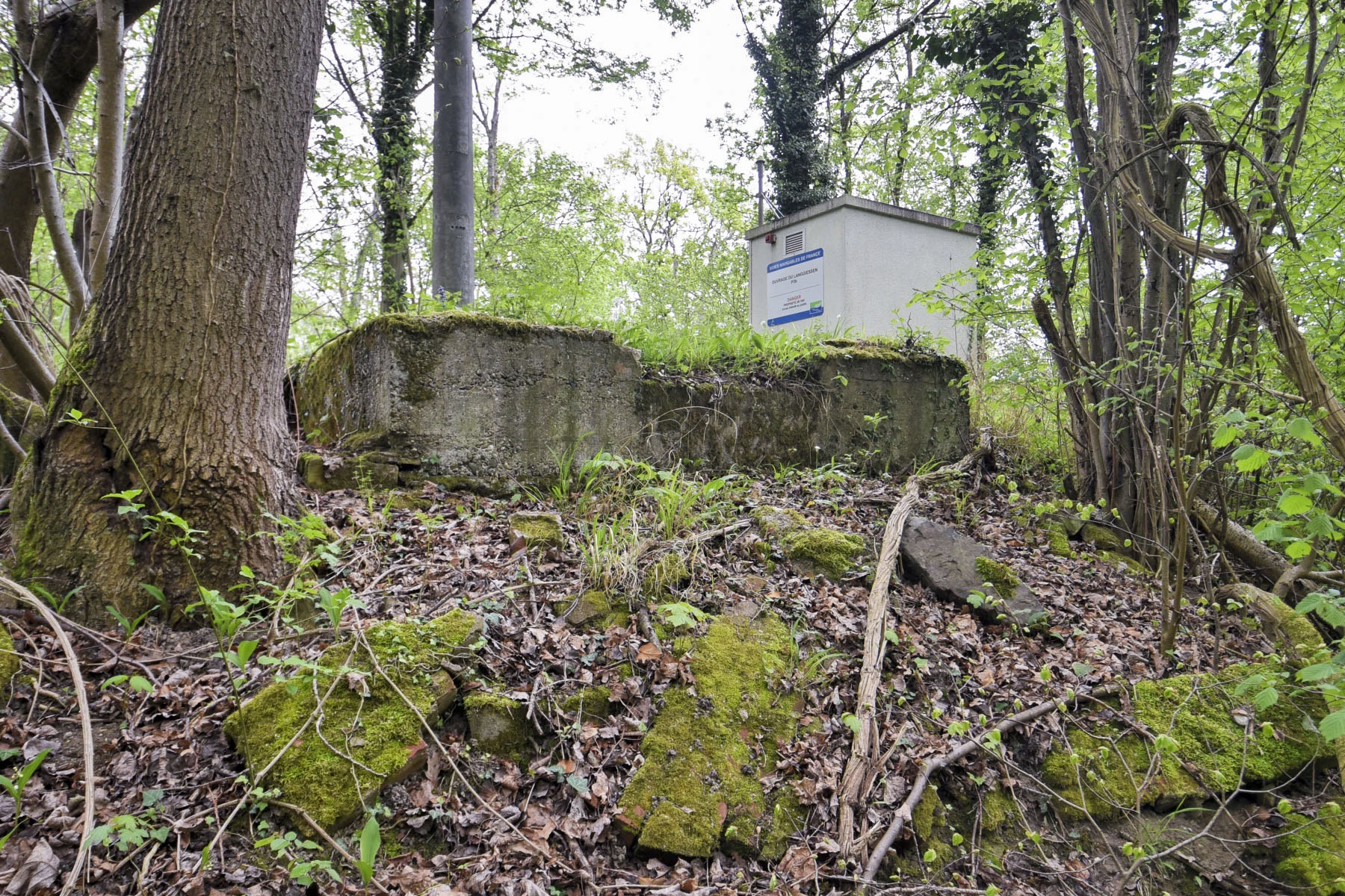 Ligne Maginot - SOMMERLEY - (Inondation défensive) - 