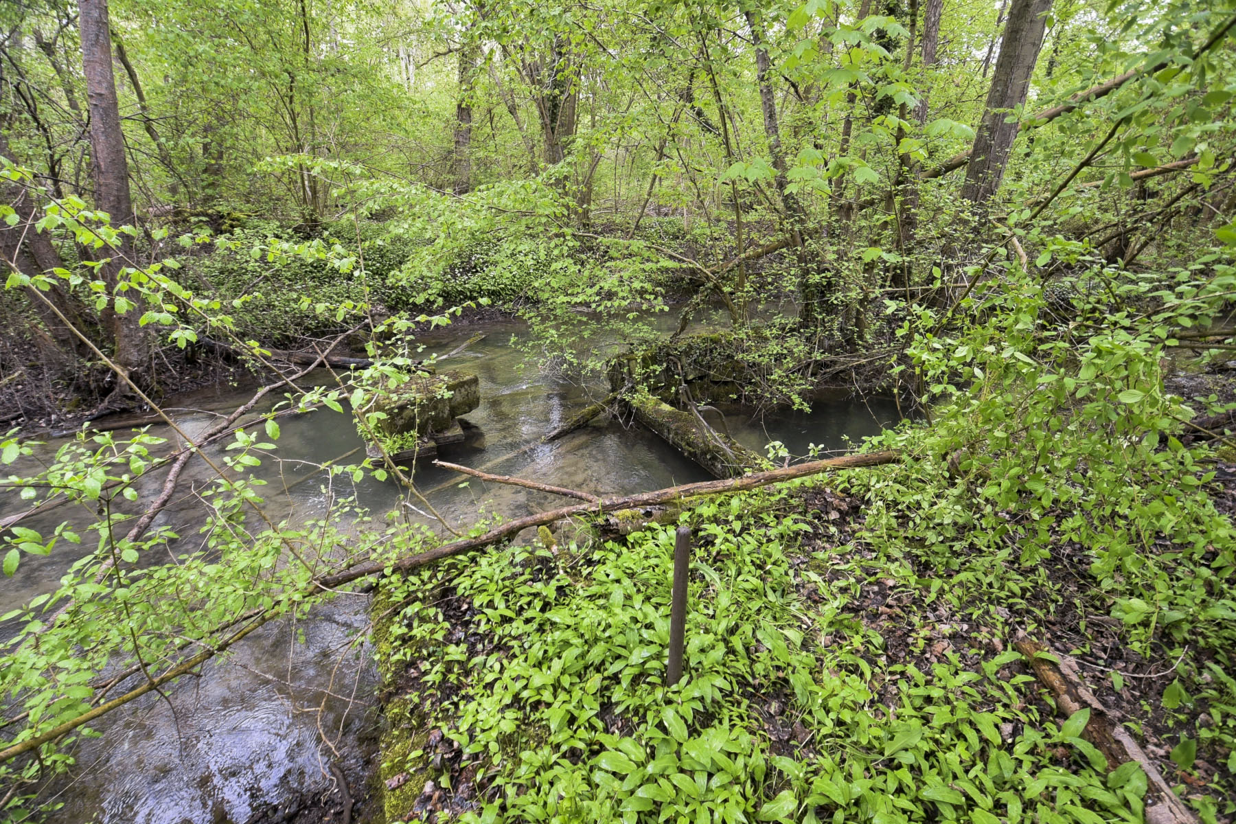 Ligne Maginot - SOMMERLEY - (Inondation défensive) - 