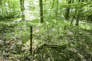 Ligne Maginot - SCHIRMENSTUDEN 5 - (Blockhaus pour arme infanterie) - Traces de début de construction