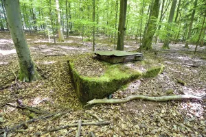Ligne Maginot - DF6 - (Chambre de coupure) - 
