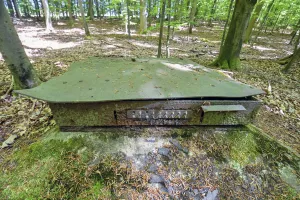 Ligne Maginot - DF6 - (Chambre de coupure) - 