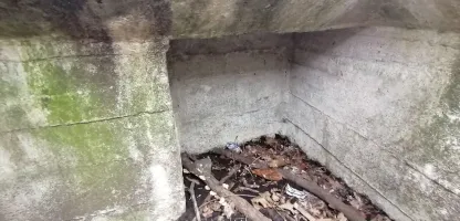 Ligne Maginot - B242 - WERVICQ NORD - (Observatoire indéterminé) - 