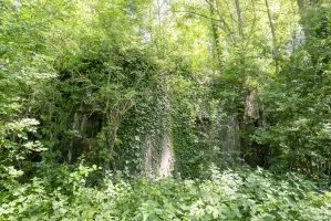 Ligne Maginot - B359 - LA BOUGRIE EST - (Blockhaus pour canon) - 
