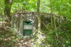 Ligne Maginot - 13 - (Chambre de coupure) - 