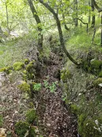 Ligne Maginot - AVELLAN OUEST - (Cuve pour arme d