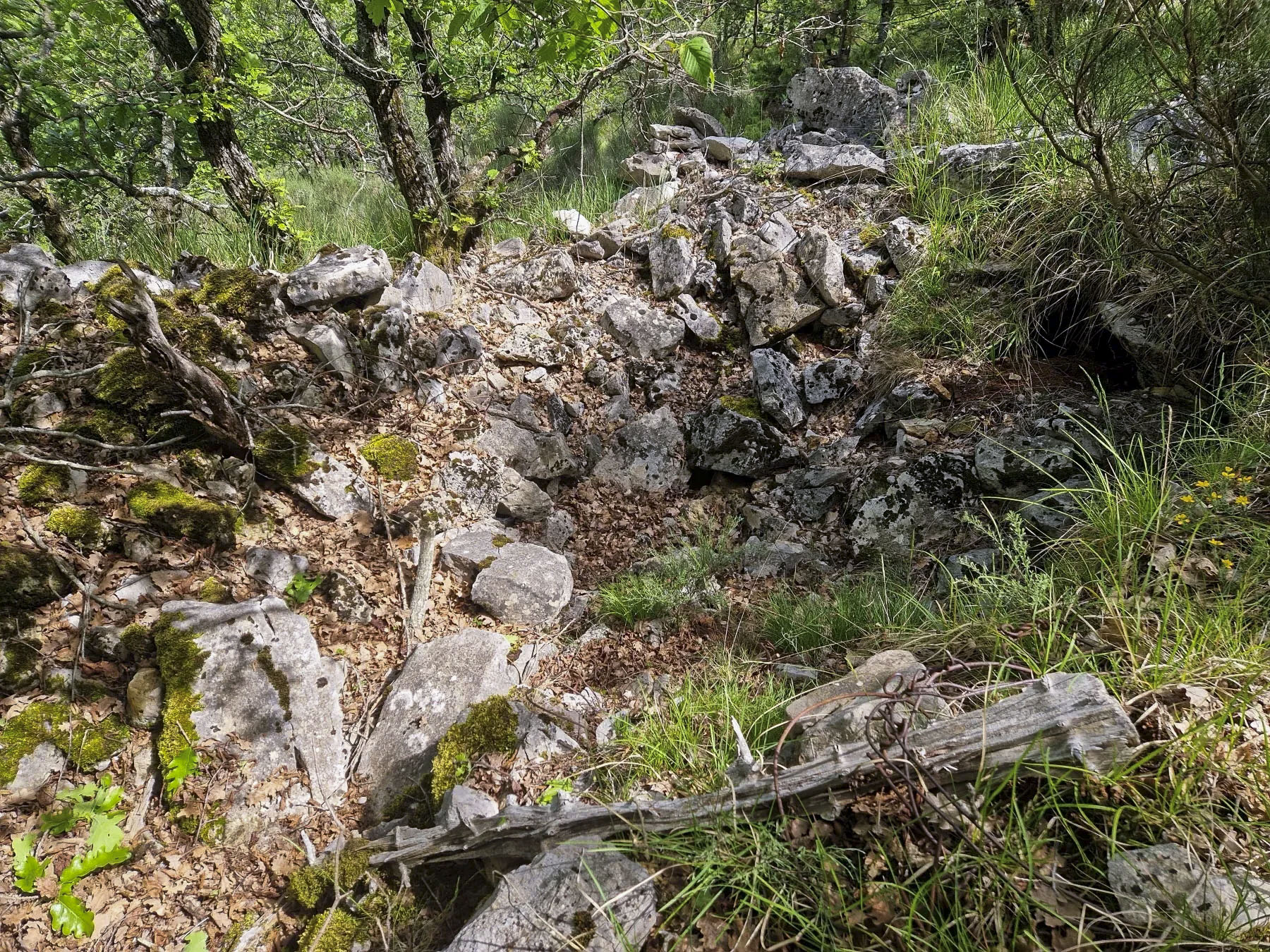 Ligne Maginot - AVELLAN OUEST - (Cuve pour arme d'infanterie) - La cuve