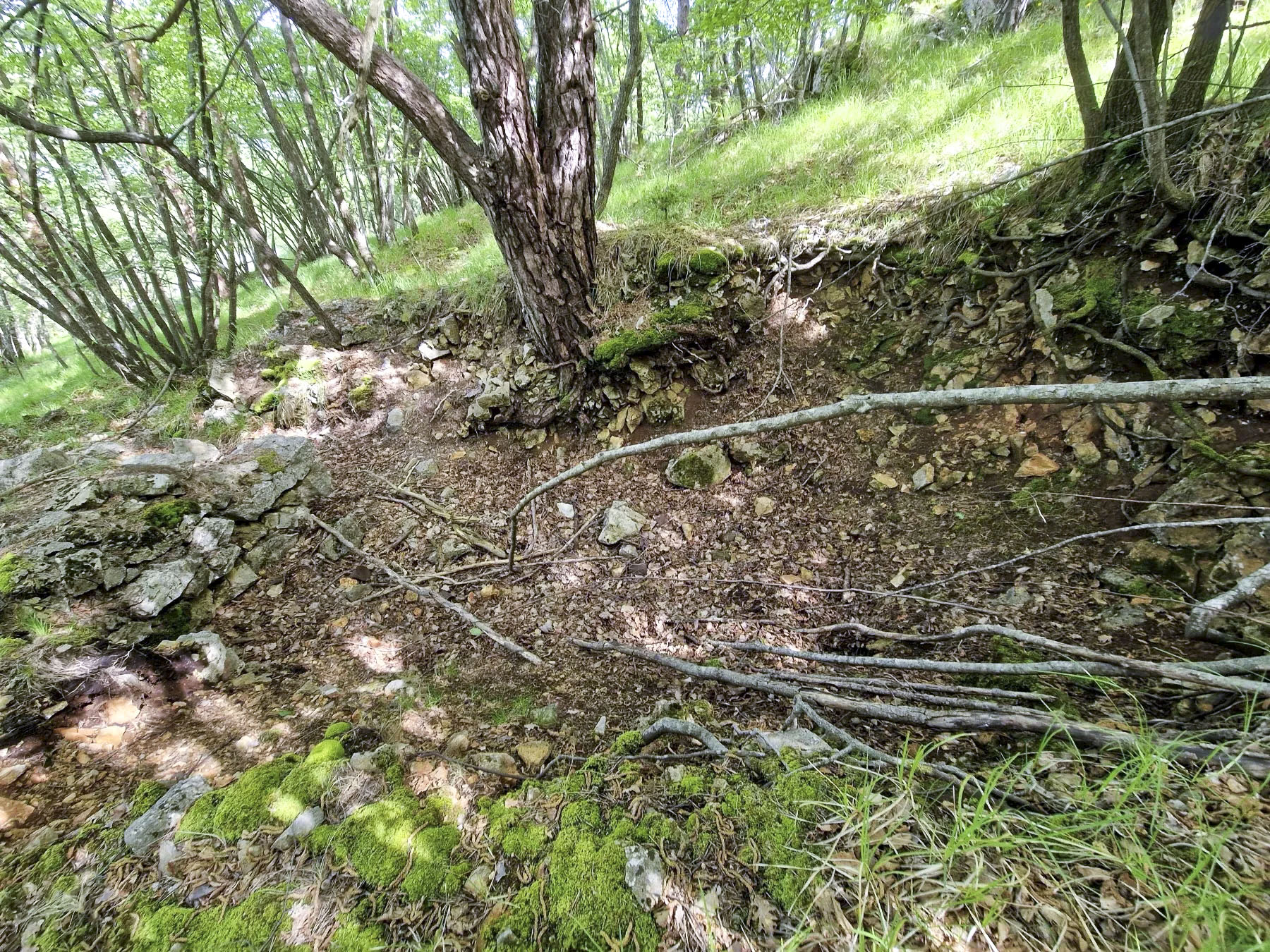 Ligne Maginot - AVELLAN OUEST - (Cuve pour arme d'infanterie) - Une troisième cuve